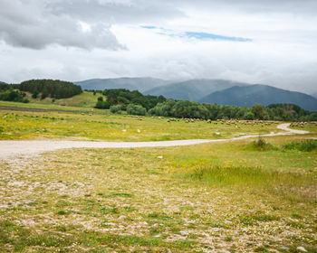 environment