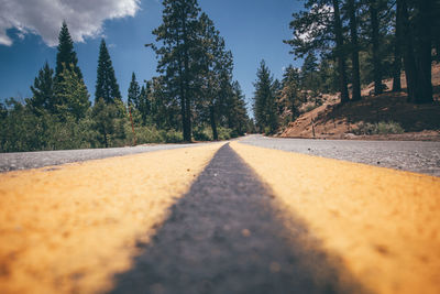 Empty road amidst trees against sky