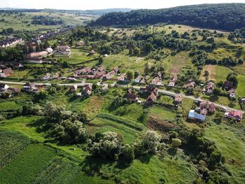 High angle view of trees and houses on field