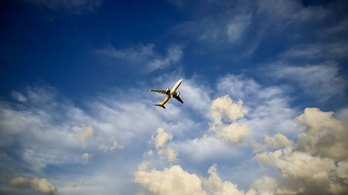 Low angle view of airplane flying in sky