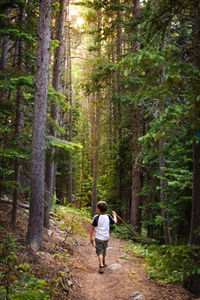 Rear view of child walking in the forest