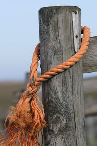 Close-up of rope tied on wooden post
