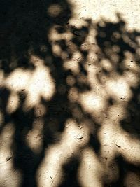 High angle view of shadow on ground
