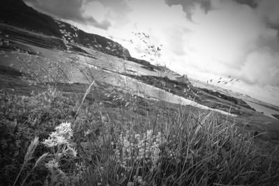 Scenic view of landscape against cloudy sky