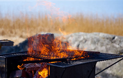 Bonfire on barbecue grill