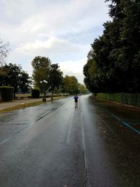 Rear view of man riding bicycle on road