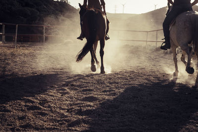 Low section of people horseback riding at ranch