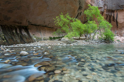 Surface level of rocks in river