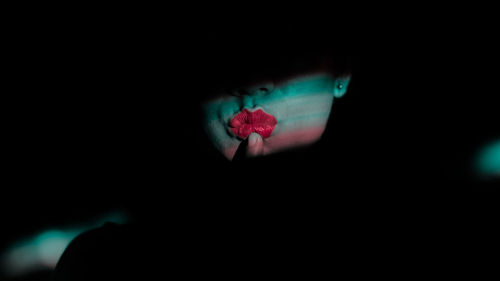 Close-up of hand on red flower against black background