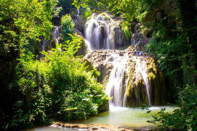 Scenic view of waterfall in forest