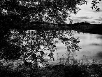 Scenic view of lake in forest against sky