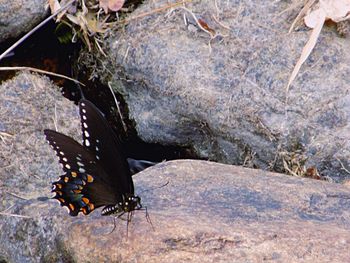 High angle view of tiled floor