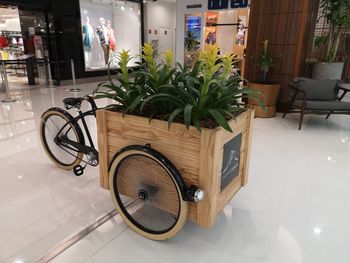 Bicycle by potted plant on table in building