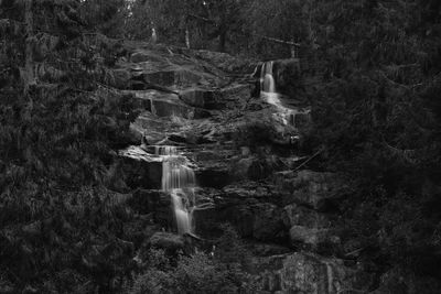 Water flowing through rocks in forest