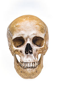 Close-up of human skull