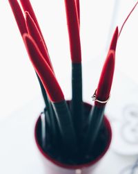 Close-up of colored pencils over white background