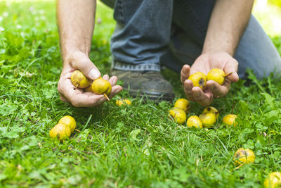 Midsection of man holding vegetables