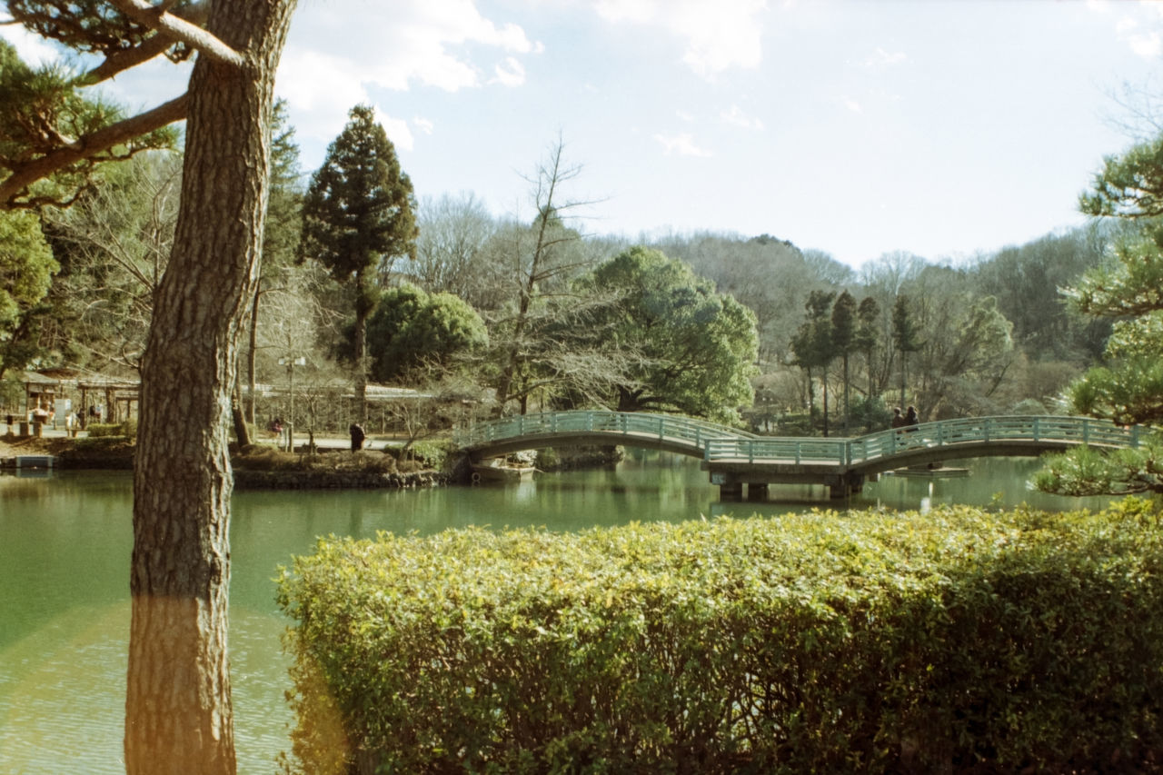 SCENIC VIEW OF RIVER AGAINST SKY