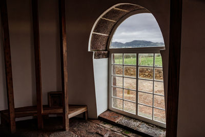 Trees seen through window