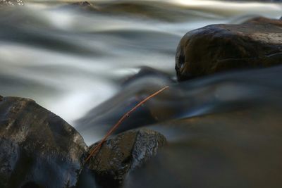 Close-up of rocks in water