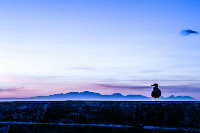 Scenic view of mountains against sky at sunset