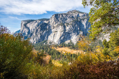 Scenic view of forest against sky during autumn