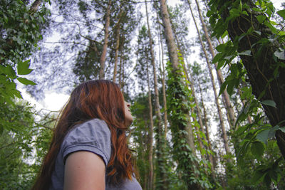 Low angle view of woman in forest