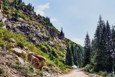 Scenic view of land against sky