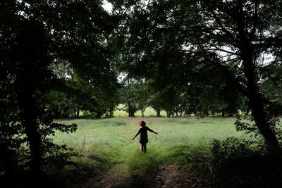 Rear view of man standing in forest