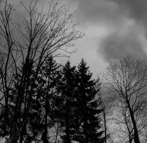 Low angle view of bare trees against cloudy sky