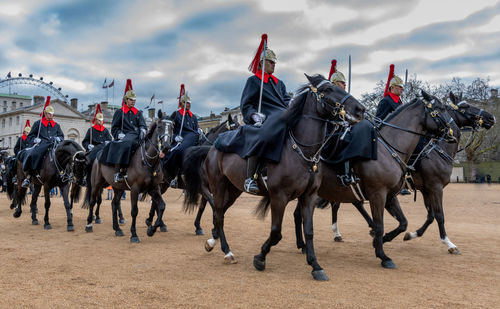 Horses on land against sky