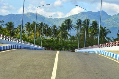 Road by palm trees against sky