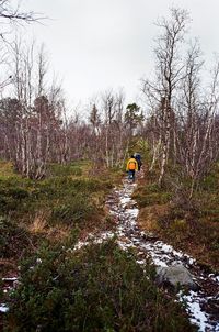 Man in stream amidst trees on field in forest against sky