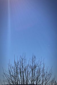 Low angle view of bare trees against clear blue sky