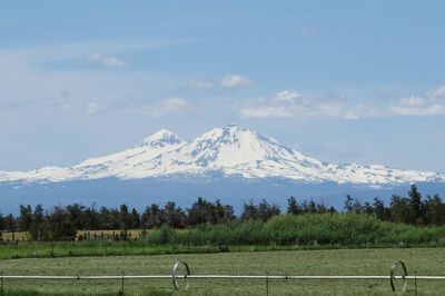 Scenic view of field and mountains against sky