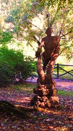 Close-up of tree trunk