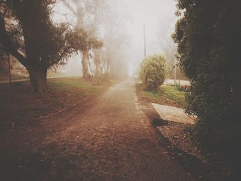 Road amidst trees in park against sky