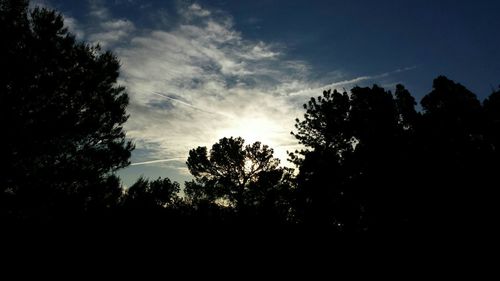 Low angle view of silhouette trees against sky