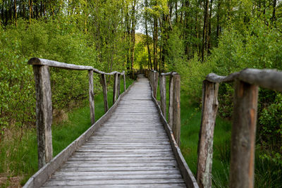 Wooden footbridge amidst trees in forest