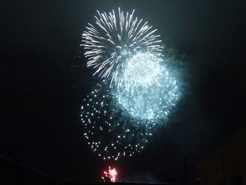 Low angle view of firework display at night