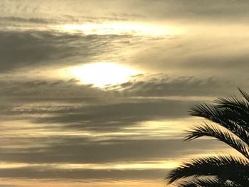 Low angle view of silhouette palm trees against sky