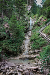 Stream flowing through rocks in forest