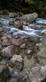 Stream flowing through rocks in forest