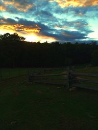 Silhouette of trees on field against cloudy sky