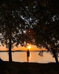 Silhouette person standing by tree against sky during sunset