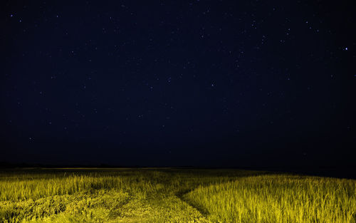 Scenic view of field against sky at night