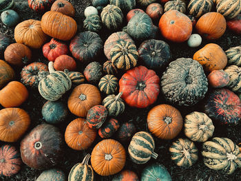 Full frame shot of pumpkins