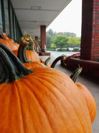 Close-up of pumpkin on wood during halloween