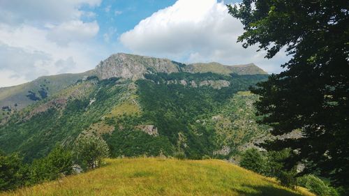 Scenic view of landscape against sky