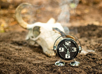 Close-up of a clock on the ground